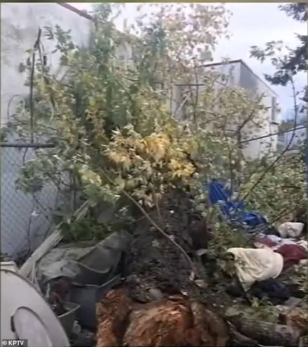 Mother wins lawsuit against school and nonprofit after son died in tree branch incident.