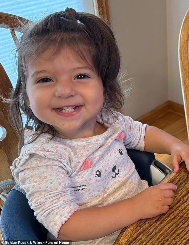 Ohio toddler dies in car seat crush, potentially reshaping auto safety.