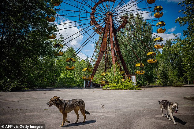 Nature Reclaims Chernobyl's Ghost Towns After Nuclear Disaster