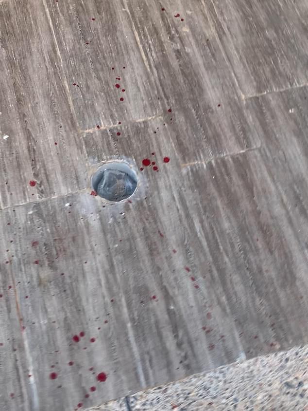 International coalition reveals shocking photos of dogs killed in Nadour ahead of 2030 World Cup.