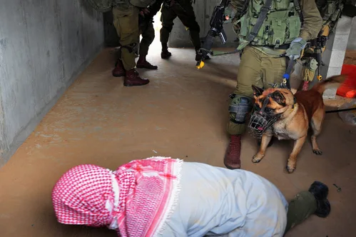 Israel departs hundreds of activists following intercepted aid flotilla