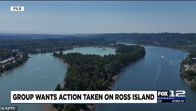 Portland's Private Island Opens to Public After Decades of Restriction