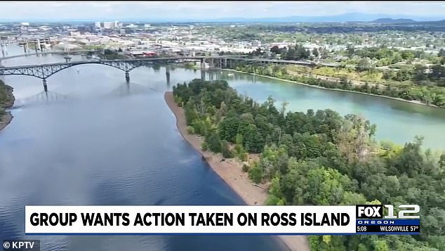 Portland's Private Island Opens to Public After Decades of Restriction