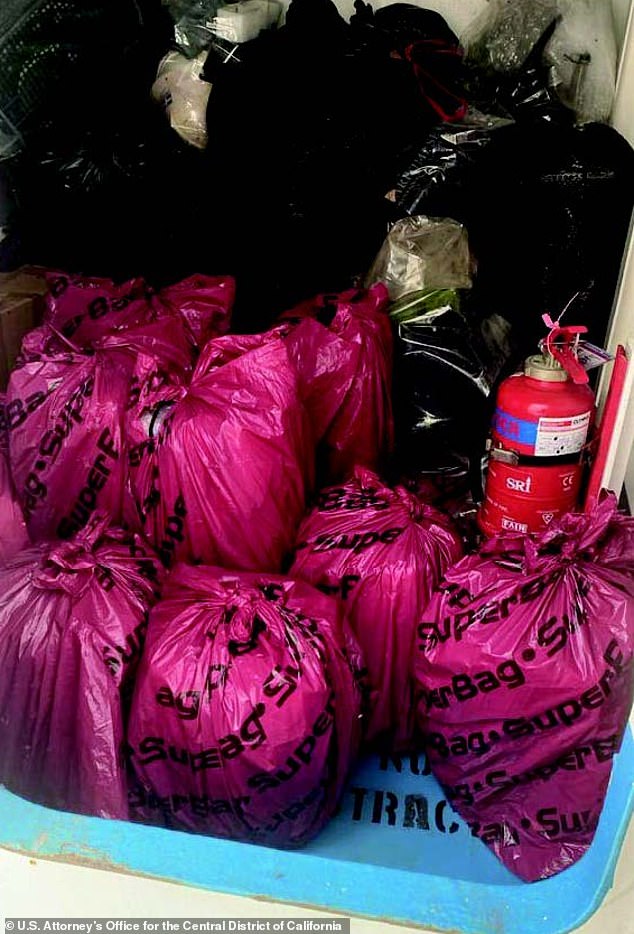 Arrested for smuggling $6.4 million in cocaine hidden inside Dior bags.