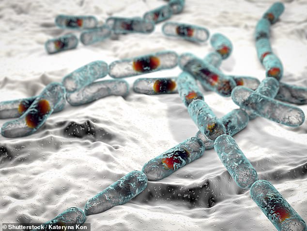 Experts warn "boy food" trend poses deadly food poisoning risk.