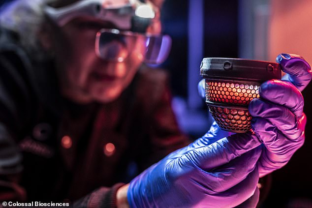 Scientists hatch first chicks from artificial egg to revive extinct moa.