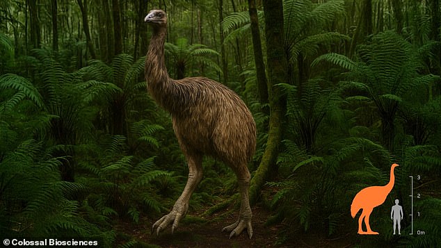 Scientists hatch first chicks from artificial egg to revive extinct moa.