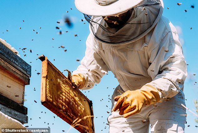 Scientific evidence confirms honey's health benefits, yet questions remain about its true efficacy.