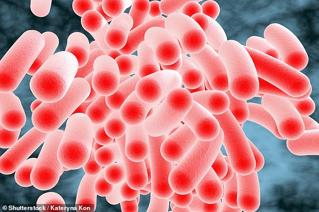 UK salmonella cases hit ten-year high as officials urge hygiene checks.