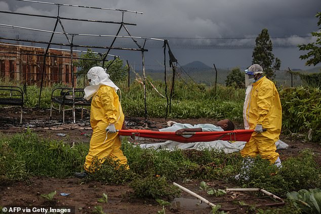 Kenyan Court Halts US Ebola Quarantine Plans Pending Review