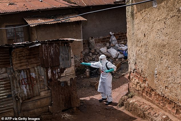 Kenyan Court Halts US Ebola Quarantine Plans Pending Review