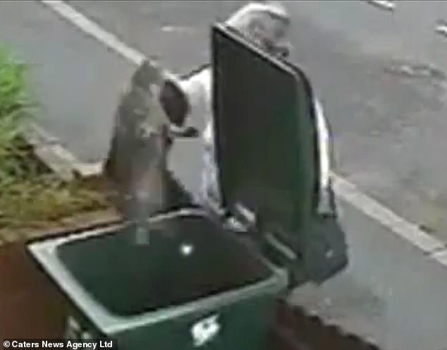 Woman dumps cat in trash bin, sparking global outrage and ending her life.
