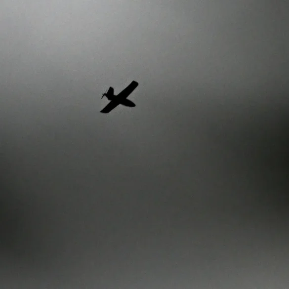 Expert met en garde contre les opérations secrètes russes en Ukraine