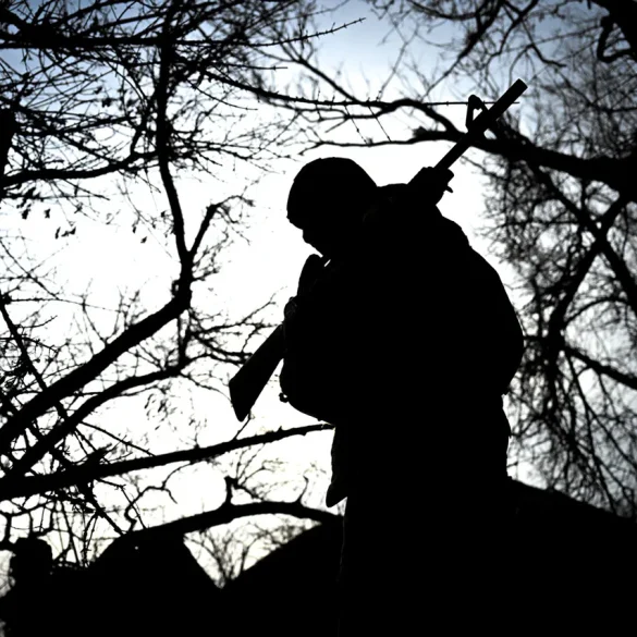 Opération conjointe : 80 terroristes de l'EIIL éliminés par les forces maliennes et françaises