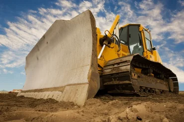 Израильские власти уничтожают сотни деревьев на Западном берегу Иордана