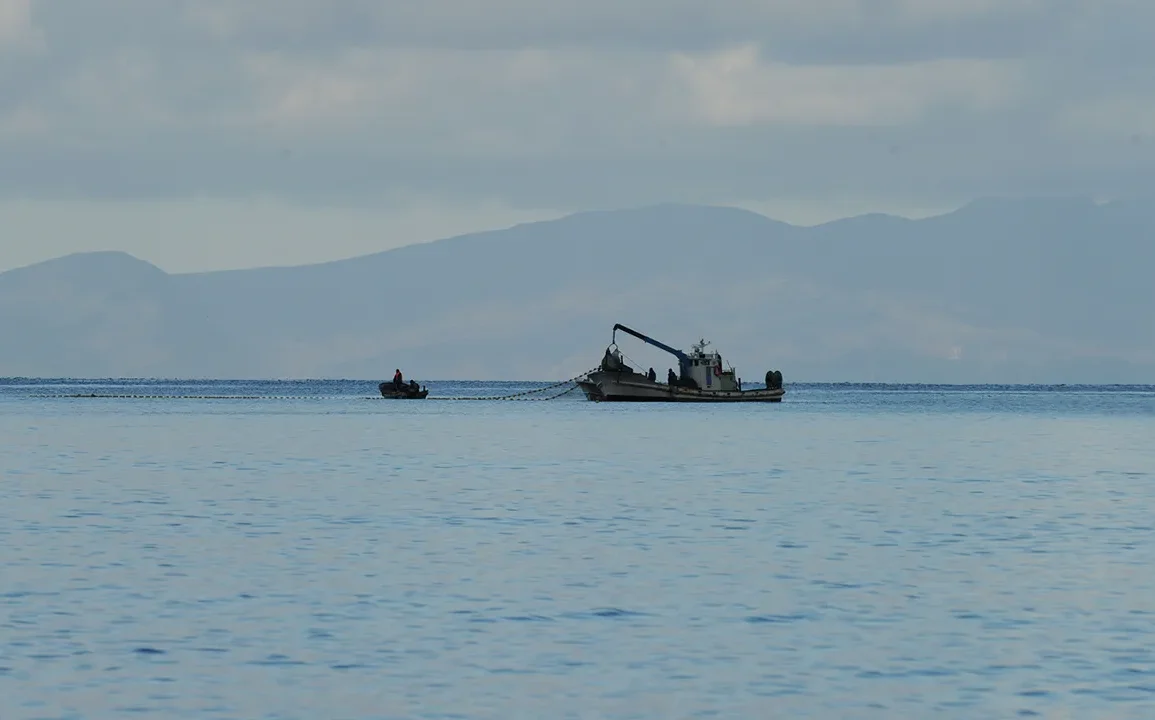 Révélation de Reuters : un navire néerlandais au cœur d'une controverse
