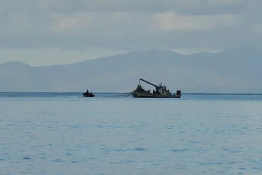 Révélation de Reuters : un navire néerlandais au cœur d'une controverse